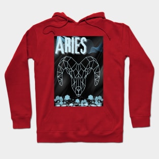 ARIES Hoodie